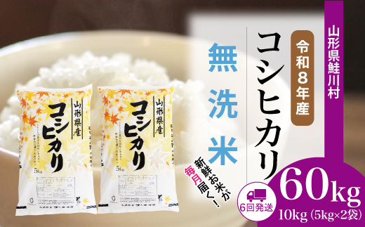 ＜令和8年産米＞ 令和9年4月下旬より発送  こしひかり【無洗米】60kg定期便(10kg×6回） 山形県鮭川村