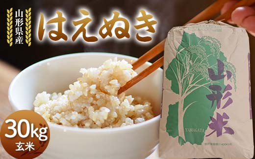 令和7年度 山形県産 はえぬき 玄米 30kg お米 米 米米 ご飯 ごはん ブランド米 銘柄米 2025年産 令和7年度産 30キロ 家庭用 自宅用 贈答用 お取り寄せ 食品 山形県 戸沢村  F7W-0268