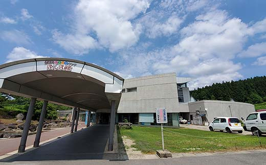 いきいきランド ぽんぽ館 大人入浴券 11枚  F7W-0008