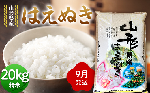 ≪2026年9月発送≫ 令和7年度 山形県産 はえぬき 20kg(5kg×4) 精米 白米 お米 米 米米 新米 ご飯 ごはん ブランド米 銘柄米 2025年産 令和7年度産 家庭用 自宅用 贈答用 お取り寄せ 食品 山形県 戸沢村  F7W-0298