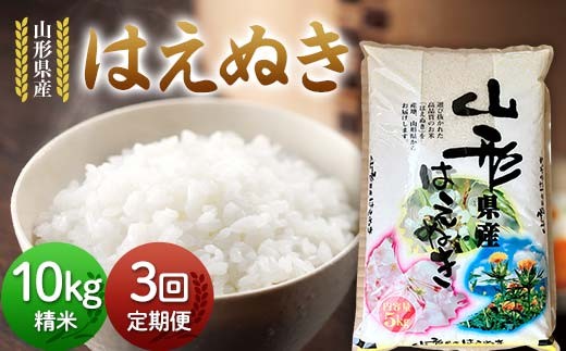 【定期便3回】令和7年度 山形県産 はえぬき 10kg(5kg×2)×3回 合計30kg 精米 白米 お米 米 米米 新米 ご飯 ごはん ブランド米 銘柄米 2025年産 令和7年度産 家庭用 自宅用 贈答用 お取り寄せ 食品 定期便 頒布会 毎月届く 山形県 戸沢村  F7W-0259
