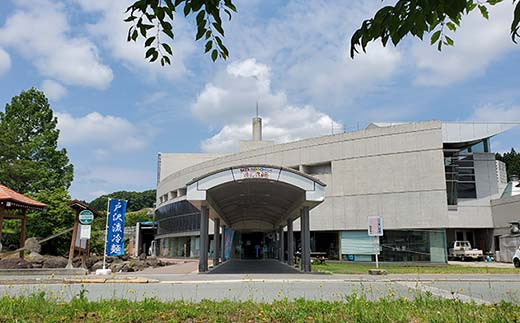 いきいきランド ぽんぽ館 大人入浴券 11枚  F7W-0008