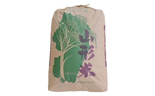 令和7年度 山形県産 はえぬき 玄米 30kg お米 米 米米 ご飯 ごはん ブランド米 銘柄米 2025年産 令和7年度産 30キロ 家庭用 自宅用 贈答用 お取り寄せ 食品 山形県 戸沢村  F7W-0268