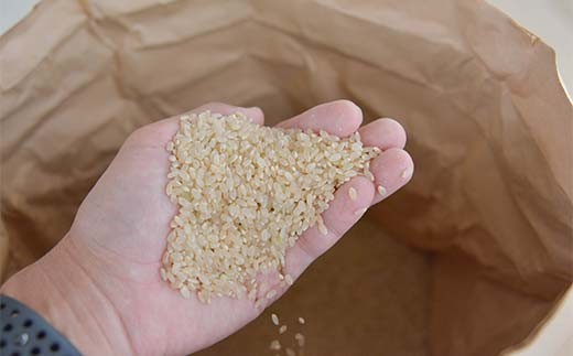 令和7年度 山形県産 つや姫 玄米 30kg お米 米 米米 ご飯 ごはん つやひめ ブランド米 銘柄米 2025年産 令和7年度産 30キロ 家庭用 自宅用 贈答用 お取り寄せ 食品 山形県 戸沢村  F7W-0270