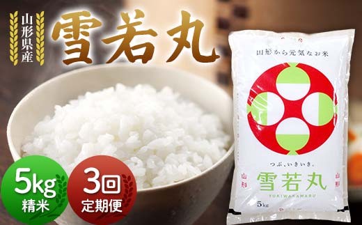 【定期3回】令和7年度 山形県産 雪若丸 5kg×3回 合計15kg 精米 白米 お米 米 米米 新米 ご飯 ごはん ゆきわかまる ブランド米 銘柄米 2025年産 令和7年度産 家庭用 自宅用 贈答用 お取り寄せ 食品 定期便 頒布会 毎月届く 山形県 戸沢村  F7W-0262