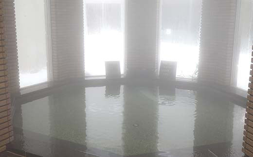 いきいきランド ぽんぽ館 大人入浴券 11枚  F7W-0008