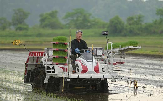 【定期便5回】令和7年度 山形県戸沢村産 はえぬき 5kg×5回 合計25kg 精米 白米 お米 米 米米 新米 ご飯 ごはん ブランド米 銘柄米 2025年産 令和7年度産 家庭用 自宅用 贈答用 お取り寄せ 食品 定期便 頒布会 毎月届く 山形県 戸沢村  F7W-0229
