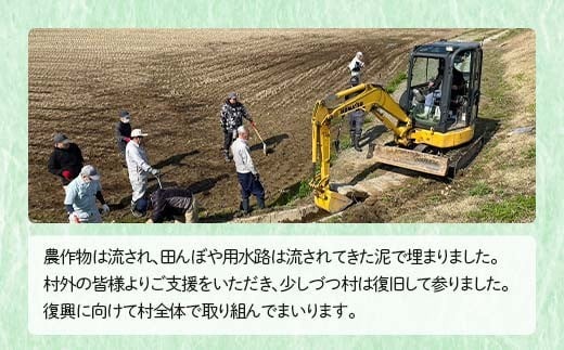 蠕ゥ闊亥ソ懈抄邀ウ 莉、蜥7蟷エ蠎ヲ 螻ア蠖「逵梧虻豐「譚醍肇 驫俶氛邀ウ2遞ョ繧サ繝繝4kg(髮ェ闍・荳ク2kg繝サ縺、繧蟋ォ2kg) 邊セ邀ウ 逋ス邀ウ 縺顔アウ 邀ウ 縺秘」ッ 縺斐ッ繧 繝悶Λ繝ウ繝臥アウ 2025蟷エ逕」 莉、蜥7蟷エ 螳カ蠎ュ逕ィ 閾ェ螳逕ィ 雍育ュ皮畑 縺雁叙繧雁ッ縺 鬟溷刀 螻ア蠖「逵 謌ク豐「譚 F7W-0221
