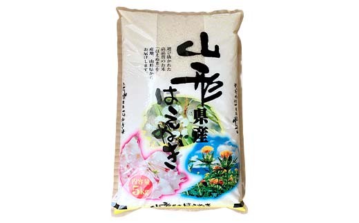 令和7年度 山形県産 はえぬき 5kg 精米 白米 お米 米 米米 新米 ご飯 ごはん ブランド米 銘柄米 2025年産 令和7年度産 家庭用 自宅用 贈答用 お取り寄せ 食品 山形県 戸沢村  F7W-0256