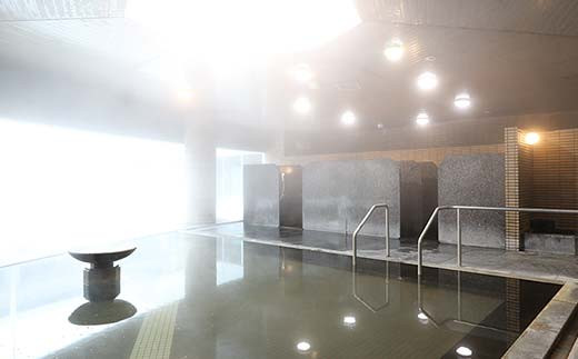 いきいきランド ぽんぽ館 大人入浴券 7枚  F7W-0029