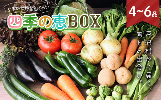 山形県 戸沢村産 野菜詰合せ 農家のおまかせ 四季の恵BOX 4～6品 旬の野菜を1回お届け 国産 野菜 やさい 詰め合わせ セット 季節 旬 新鮮 産地直送 自宅 家庭 F7W-0499