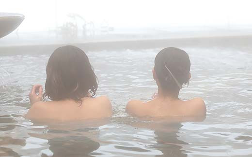 いきいきランド ぽんぽ館 大人入浴券 11枚  F7W-0008