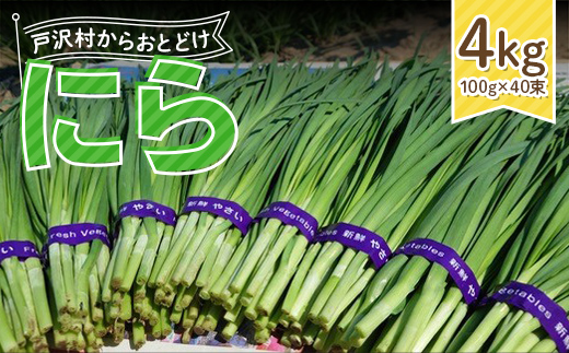 山形県 戸沢村産 にら 4kg(40束) 2026年5月下旬から順次発送 国産 野菜 やさい 韮 ニラ 料理 餃子 炒め物 惣菜 自宅 家庭 F7W-0339