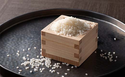 【定期便4回】令和7年度 山形県戸沢村産 つや姫 10kg(5kg×2)×4回 合計40kg 精米 白米 お米 米 米米 新米 ご飯 ごはん ブランド米 銘柄米 つやひめ 2025年産 令和7年度産 家庭用 自宅用 贈答用 お取り寄せ 食品 定期便 頒布会 毎月届く 山形県 戸沢村  F7W-0253