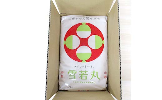 竕ェ2026蟷エ9譛育匱騾≫沖 莉、蜥7蟷エ蠎ヲ 螻ア蠖「逵檎肇 髮ェ闍・荳ク 10kg(5kgテ2) 邊セ邀ウ 繧縺阪o縺九∪繧 逋ス邀ウ 縺顔アウ 邀ウ 邀ウ邀ウ 譁ー邀ウ 縺秘」ッ 縺斐ッ繧 繝悶Λ繝ウ繝臥アウ 驫俶氛邀ウ 2025蟷エ逕」 莉、蜥7蟷エ蠎ヲ逕」 螳カ蠎ュ逕ィ 閾ェ螳逕ィ 雍育ュ皮畑 縺雁叙繧雁ッ縺 鬟溷刀 螻ア蠖「逵 謌ク豐「譚 F7W-0309