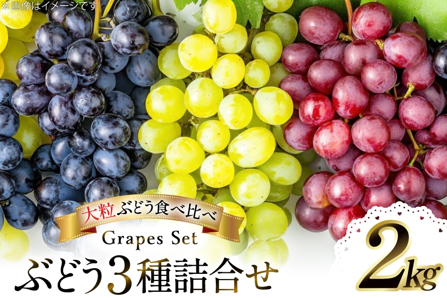 【期間限定発送】 ぶどう 3種詰合せ 約2kg [大野農園 山形県 高畠町 tk06ayt050004] 化粧箱 ぶどう ブドウ 葡萄 大粒 果物 くだもの フルーツ