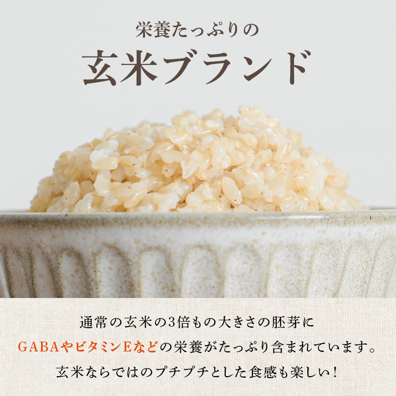 米 令和7年産 金のいぶき 5kg 有機JAS 玄米 [農家の蔵出し米生産組合 山形県 高畠町 tk06ays900002] コメ ご飯 ごはん お米 ブランド米