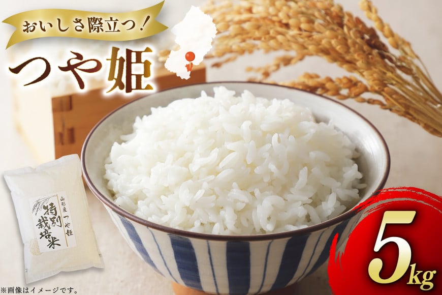 米 令和7年度産 特別栽培米 つや姫 5kg [渡部ファーム 山形県 高畠町 tk06ays810030] お米 白米 精米 ごはん ご飯 ブランド米