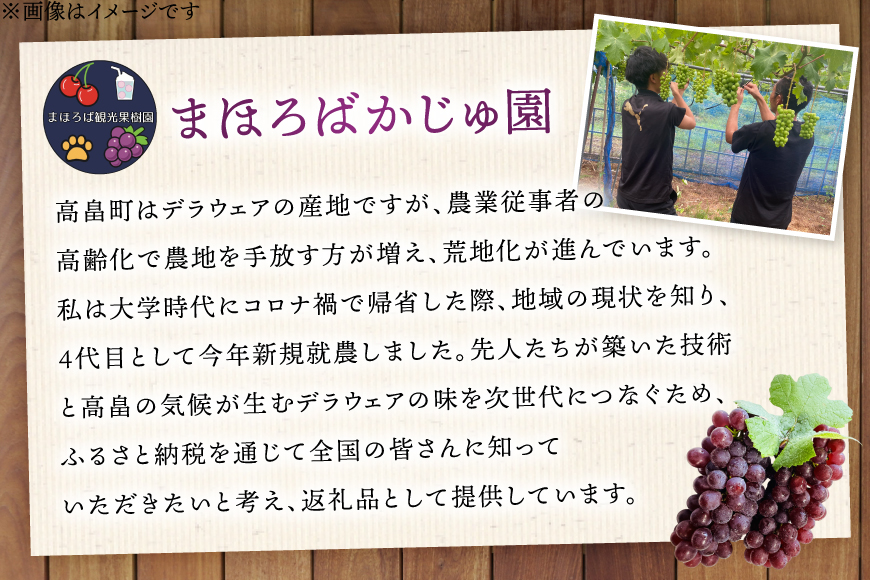 100% ぶどう ジュース 1L 6本 セット [まほろばかじゅ園 山形県 高畠町 tk06bim610000] 葡萄 ブドウ 飲み物 飲料 農家直送 産地直送 デラウェア 果汁 果実 果物 くだもの フルーツ