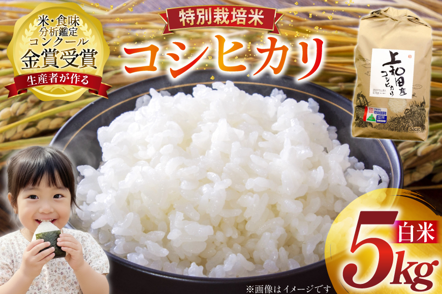 米 令和7年産 こしひかり 天日乾燥「和」 5kg 特別栽培米 精米 [農家の蔵出し米生産組合 山形県 高畠町 tk06ays900026] コメ ご飯 ごはん お米 ブランド米