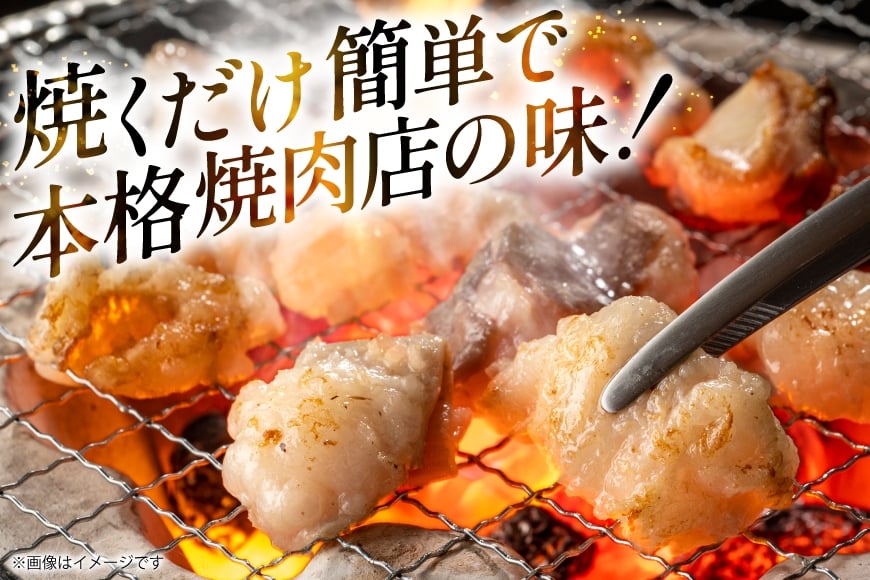 豚肉 ホルモン 塩にんにくホルモン 180g 2p 計360g [りんご苑 山形県 高畠町 tk06ays660006] 焼肉 やきにく 国産 豚 味付き 辛みそ 味噌 小分け 簡単 手軽 調理 おかず 冷凍
