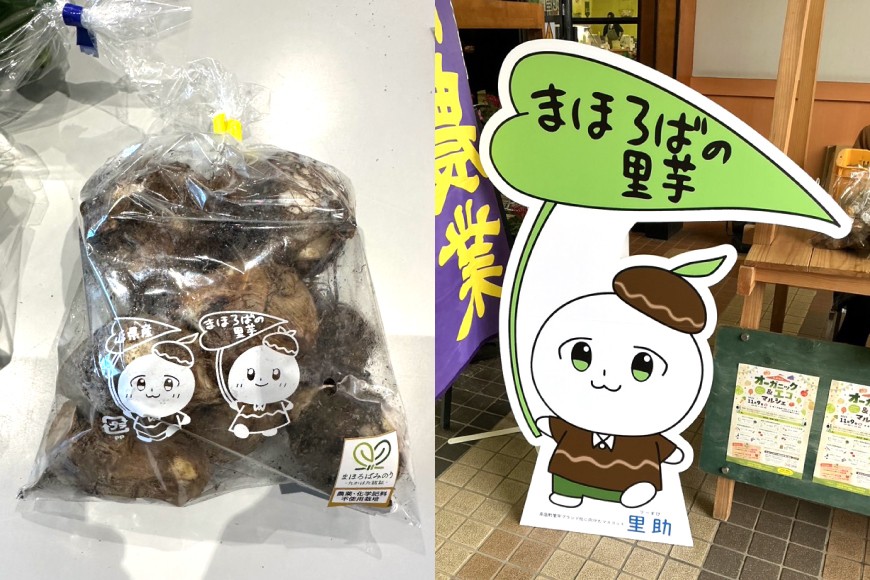 【期間限定発送】 里芋 約 2kg (15〜20個) 土付き [農家の店しゃんくすろーど 山形県 高畠町 tk06bcz250001] さといも 里いも 芋 野菜 やさい 芋煮 煮物 おかず 惣菜
