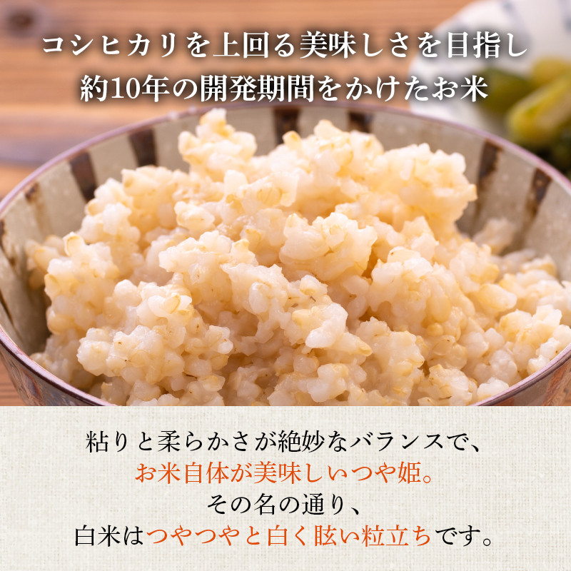 米 令和7年産 つや姫 2kg 有機JAS 玄米 [農家の蔵出し米生産組合 山形県 高畠町 tk06ays900018] コメ ご飯 ごはん お米 ブランド米