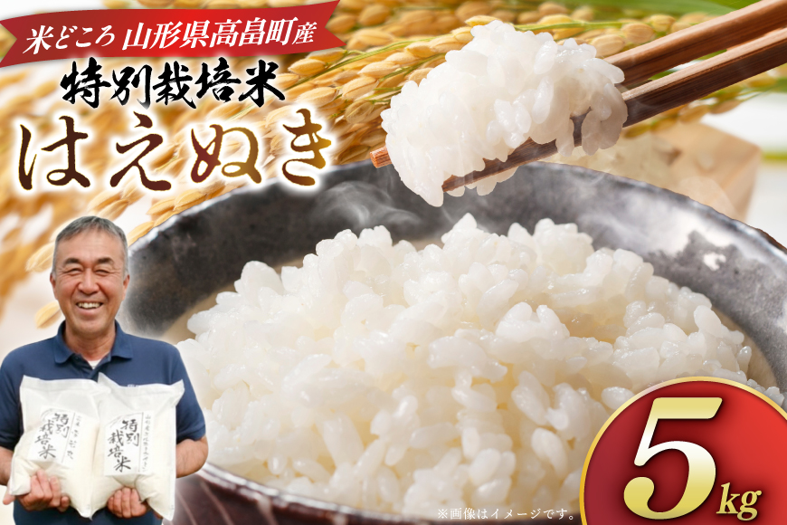 米 令和8年度産 はえぬき 5kg [渡部ファーム 山形県 高畠町 tk06ays810033] お米 白米 精米 ごはん ご飯 ブランド米