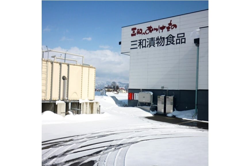 漬物 2回 定期便 詰め合わせ 3種 ( 山形のだし 2p おみ漬 2p わさび昆布 1p ねぎからし 2p 味付けオクラめかぶ 2p ごま油壷キムチ 1p ) [三和漬物食品 山形県 高畠町 tk06ayk200011] セット 漬け物 ご飯のお供