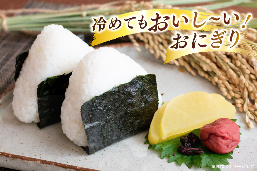 米 令和8年度産 特別栽培米 雪若丸 5kg [渡部ファーム 山形県 高畠町 tk06ays810028] お米 白米 精米 ごはん ご飯 ブランド米