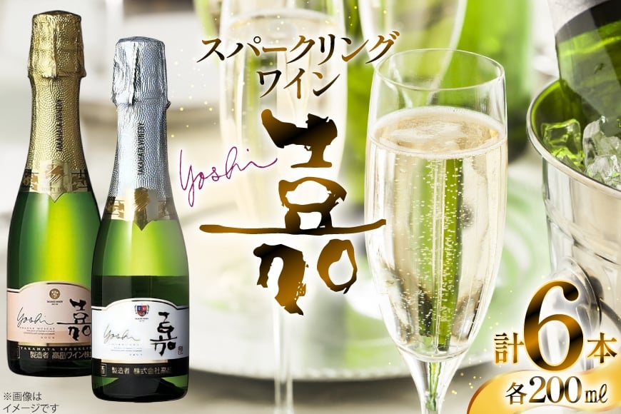 スパークリング ミニボトル 嘉スパークリングワイン 辛口&甘口セット200ml×6本 [小田部商店 山形県 高畠町 tk06ayt180036] 辛口 甘口 ワイン お酒 酒