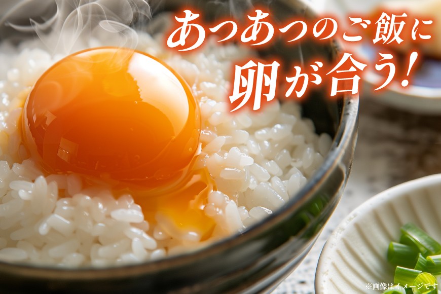 米 定期便 3回 令和7年産 特別栽培米 ミルキークイーン 5kg 3回 計15kg [渡部ファーム 山形県 高畠町 tk06ays810002] お米 白米 精米 ごはん ご飯 ブランド米