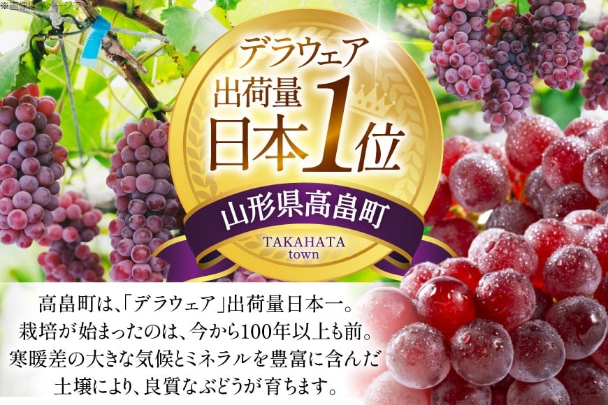 【期間限定発送】 ぶどう デラウェア 5〜8房 約 1kg [いわた果樹園 山形県 高畠町 tk06ayt400003] 種無し ブドウ 葡萄 くだもの 果物 フルーツ 産地直送 農家直送