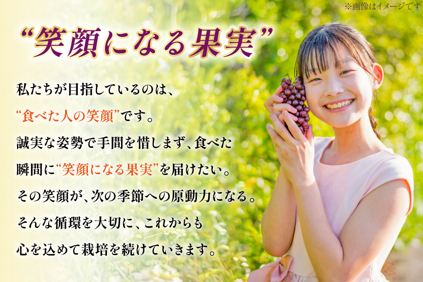【期間限定発送】 ぶどう デラウェア 秀品 18〜21房 約3kg [治右衛門果樹園 山形県 高畠町 tk06ays830020] 種無し ブドウ 葡萄 くだもの 果物 フルーツ 産地直送 農家直送 期間限定 甘い 種なし