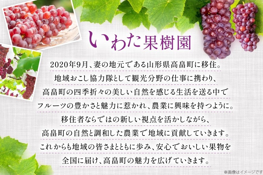 【期間限定発送】 ぶどう デラウェア 5〜8房 約 1kg [いわた果樹園 山形県 高畠町 tk06ayt400003] 種無し ブドウ 葡萄 くだもの 果物 フルーツ 産地直送 農家直送