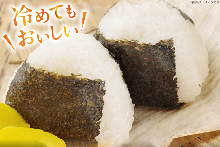 米 令和7年産 特別栽培米 つや姫 10kg (2.5kg×4袋) [齋藤 文芳 山形県 高畠町 tk06biz810000] コメ ご飯 ごはん お米 ブランド米