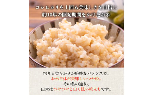 米 令和7年産 つや姫 5kg 有機JAS 玄米 [農家の蔵出し米生産組合 山形県 高畠町 tk06ays900006] コメ ご飯 ごはん お米 ブランド米