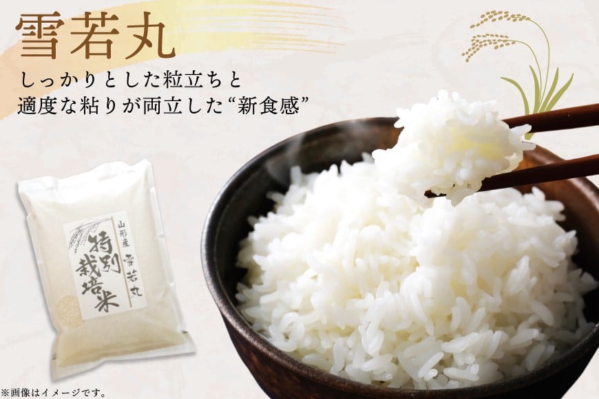 米 令和8年度産 特別栽培米 雪若丸 5kg [渡部ファーム 山形県 高畠町 tk06ays810028] お米 白米 精米 ごはん ご飯 ブランド米