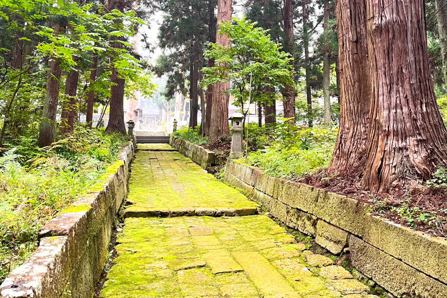 文具 亀岡文殊 知恵の鉛筆 12本 [大聖寺 山形県 高畠町 tk06bkg200002] 鉛筆 えんぴつ 六角 六角鉛筆 文房具 願掛け 祈願 合格祈願