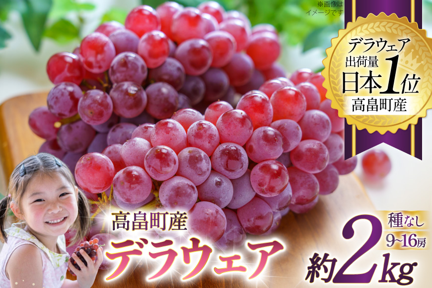 【期間限定発送】 ぶどう デラウェア 約9〜16房 約2kg [齋藤ファーム 山形県 高畠町 tk06bnv890000] 種無し ブドウ 葡萄 くだもの 果物 フルーツ 産地直送 農家直送 果実 デザート 甘い