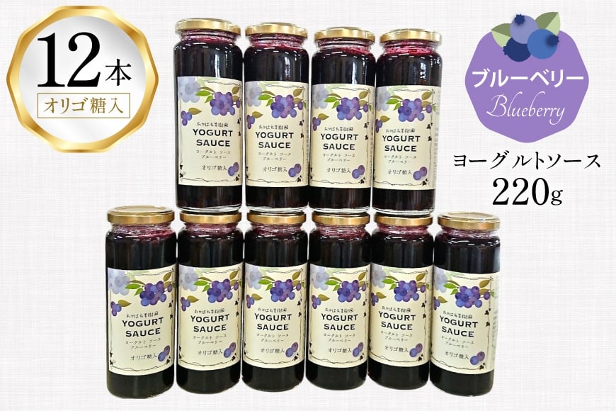 ヨーグルト ソース ブルーベリー 12本 セット [たかはた果樹園 山形県 高畠町 tk06ays650020] 詰め合わせ フルーツ ブルーベリー