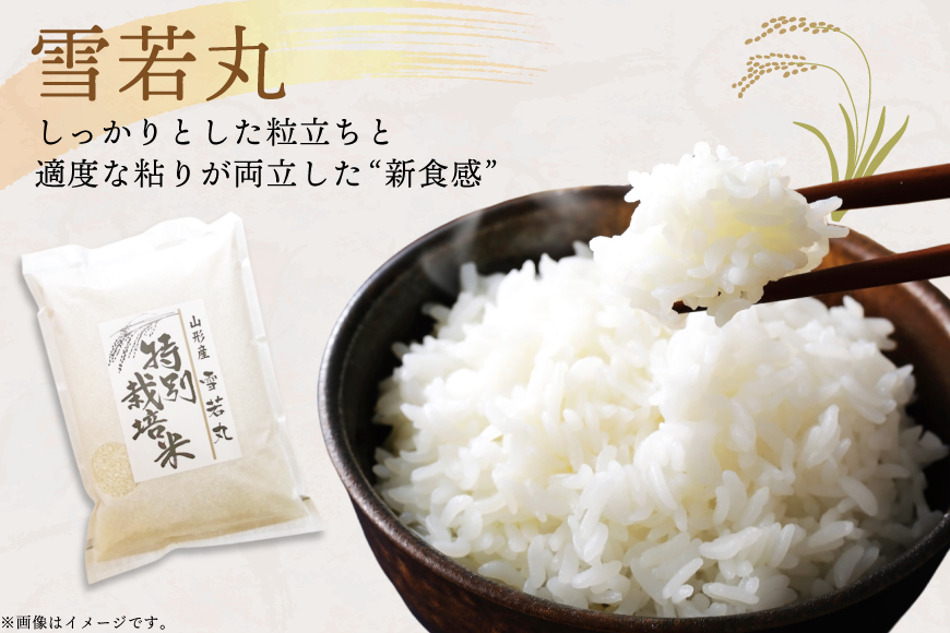 米 定期便 9回 令和8年産 特別栽培米 雪若丸 5kg 9回 計45kg [渡部ファーム 山形県 高畠町 tk06ays810053] お米 白米 精米 ごはん ご飯 ブランド米