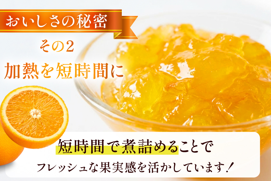 ジャム 果実60%のオレンジマーマレード 290g 5個 セット [成城石井酒販 山形県 高畠町 tk06ayt090005] オレンジジャム オレンジ オレンジマーマレード パン