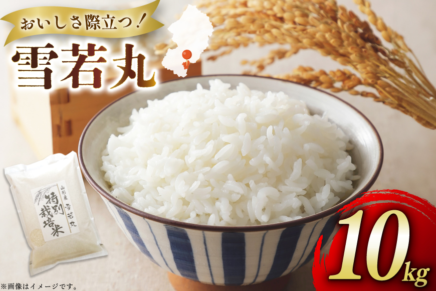 米 令和7年度産 特別栽培米 雪若丸 10kg [渡部ファーム 山形県 高畠町 tk06ays810029] お米 白米 精米 ごはん ご飯 ブランド米