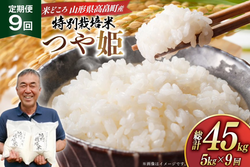 米 定期便 9回 令和8年産 特別栽培米 つや姫 5kg 9回 計45kg [渡部ファーム 山形県 高畠町 tk06ays810054] お米 白米 精米 ごはん ご飯 ブランド米