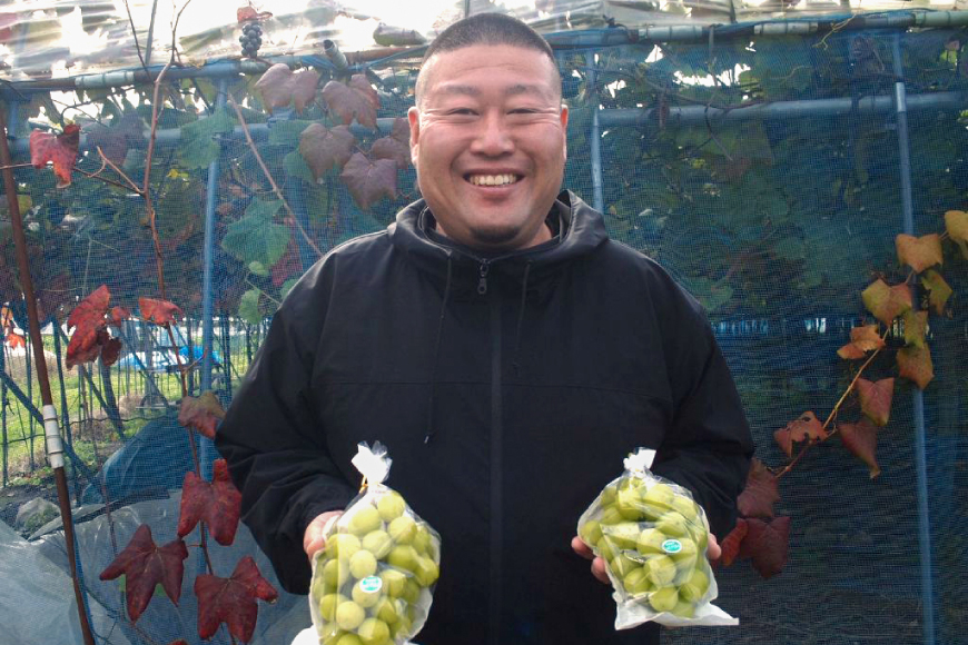 【期間限定発送】 シャインマスカット 3〜4房 満杯詰め 約2kg [本田農園 山形県 高畠町 tk06ays820002] ぶどう ブドウ 葡萄 マスカット 大粒 粒 つぶ ツブ 種なし 果物 くだもの フルーツ 2キロ 箱入り