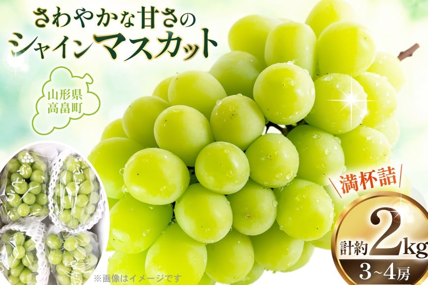 【期間限定発送】 シャインマスカット 3〜4房 満杯詰め 約2kg [本田農園 山形県 高畠町 tk06ays820002] ぶどう ブドウ 葡萄 マスカット 大粒 粒 つぶ ツブ 種なし 果物 くだもの フルーツ 2キロ 箱入り