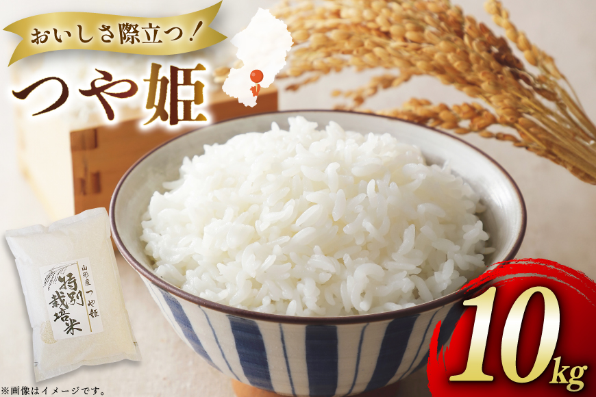 米 令和7年度産 特別栽培米 つや姫 10kg [渡部ファーム 山形県 高畠町 tk06ays810031] お米 白米 精米 ごはん ご飯 ブランド米