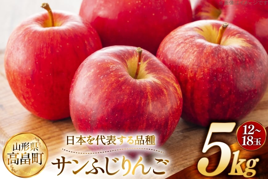 【期間限定発送】 りんご 高畠町産 サンふじ りんご 12〜18玉 計 5kg [JA山形おきたま 山形県 高畠町 tk06ays870040] 果物 くだもの フルーツ 林檎 リンゴ ふじ ふじりんご 産地直送