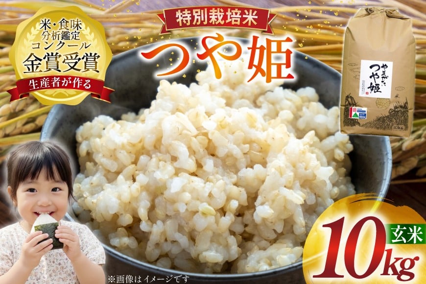 米 令和7年産 つや姫 10kg 特別栽培米 玄米 [農家の蔵出し米生産組合 山形県 高畠町 tk06ays900025] コメ ご飯 ごはん お米 ブランド米